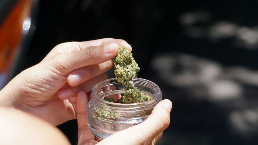 medical marijuana 2 3 jpg